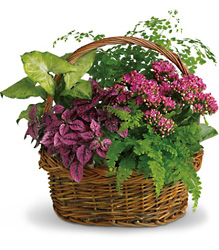 Secret Garden Basket from Gilmore's Flower Shop in East Providence, RI